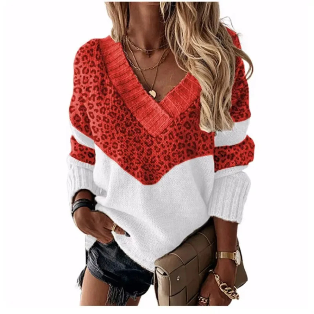 Daniela | Leopard print design with V-neck and color blocks